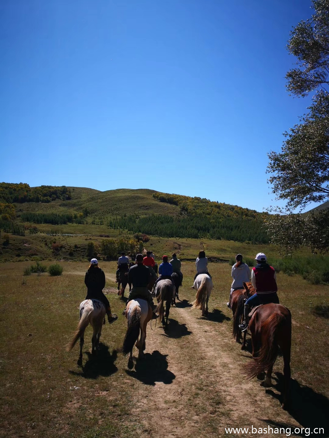 壩上草原團建項目
